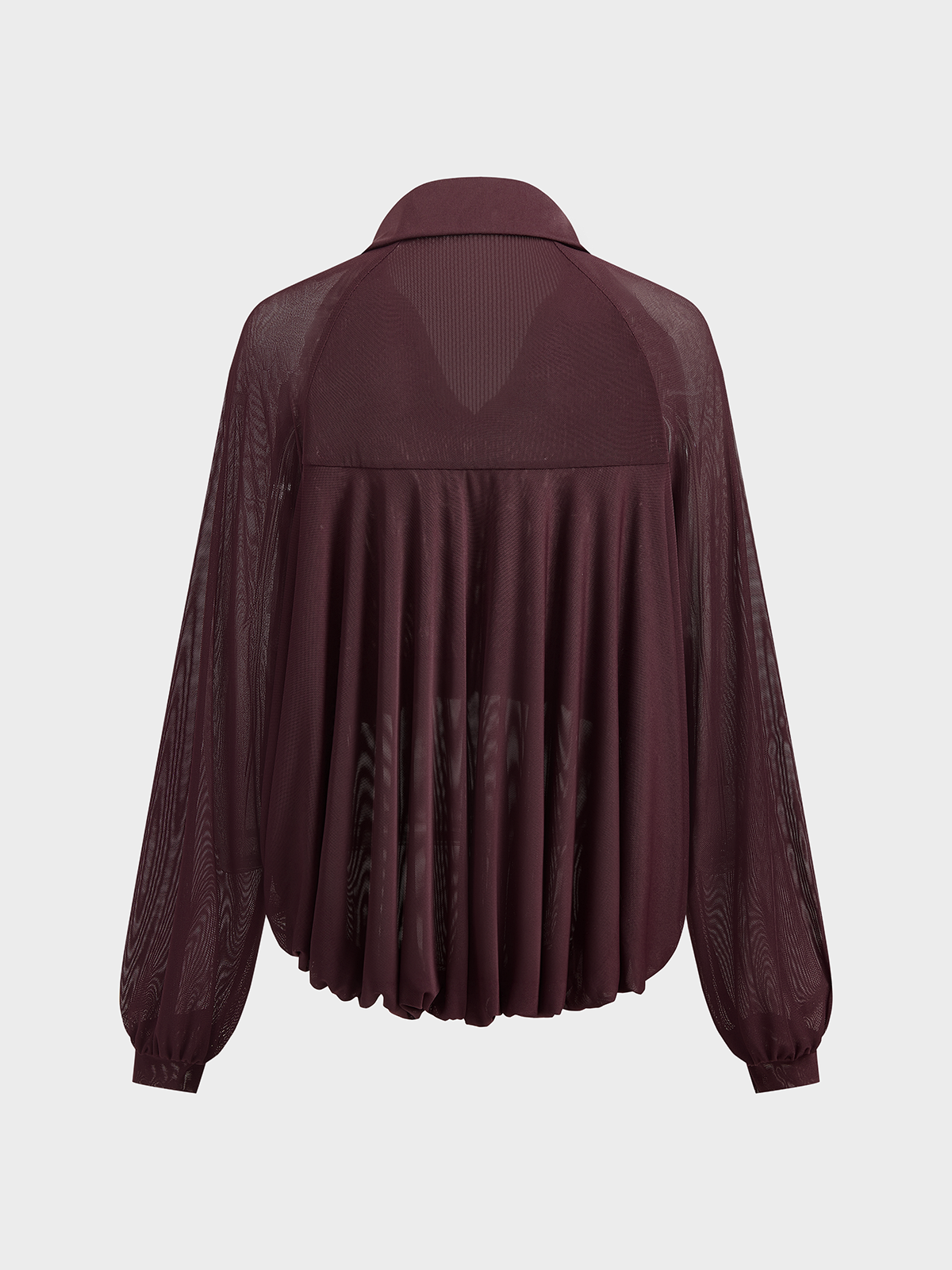 Long Sleeve V-Neck Sheer Loose Blouse